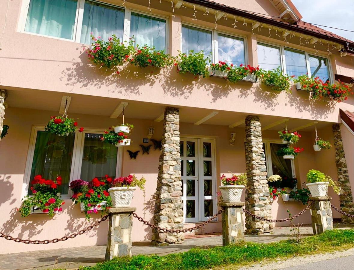 Anelisse Inn Moeciu De Sus Exterior foto