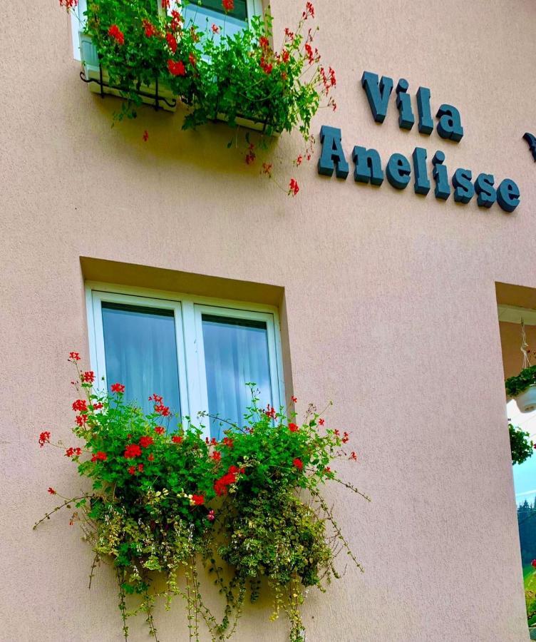 Anelisse Inn Moeciu De Sus Exterior foto